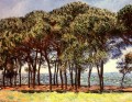Pinos Cap d Antibes Claude Monet
